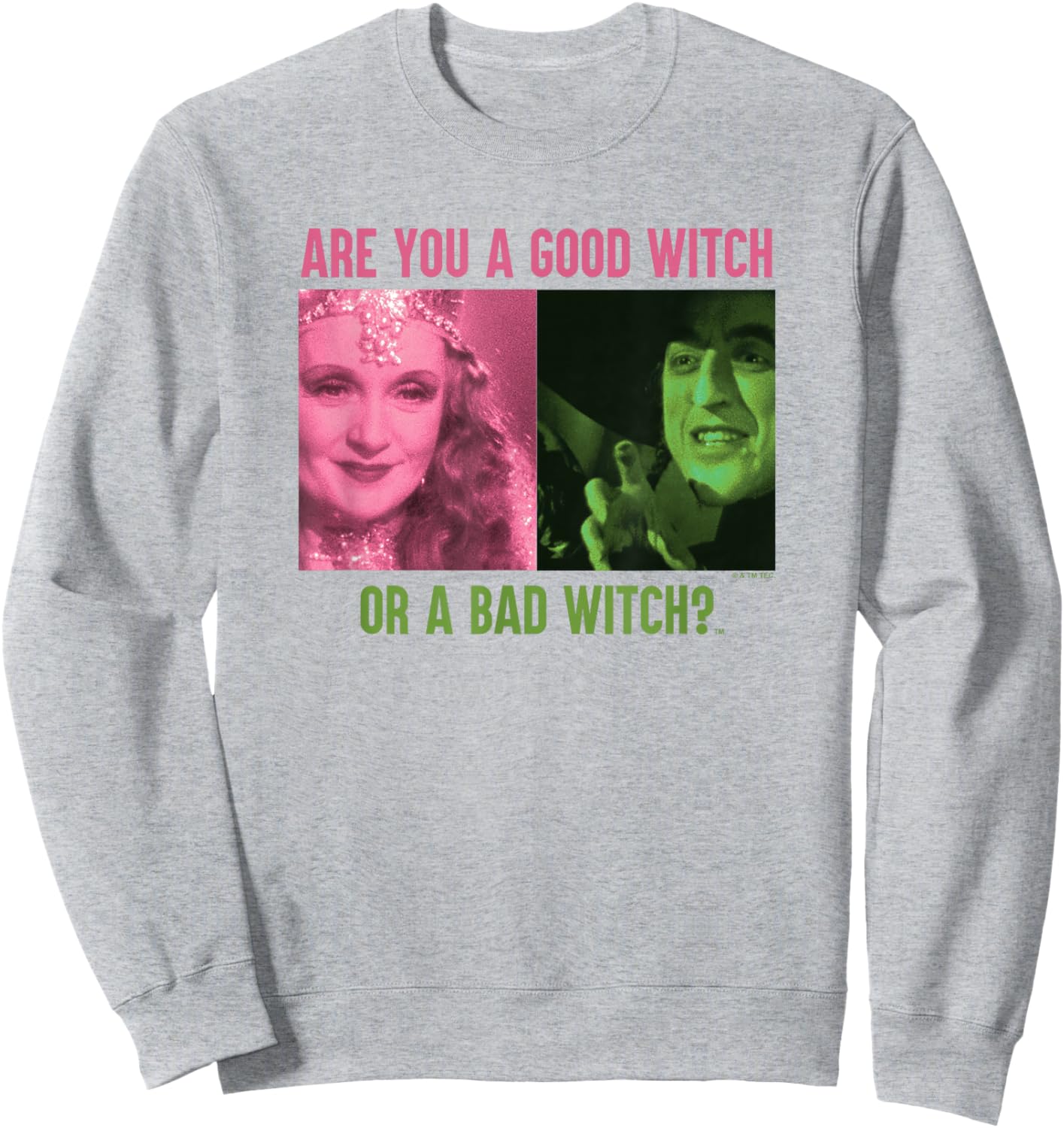 The Wizard of Oz Good Witch or Bad Witch Sweatshirt - Sweatshirt | Ash