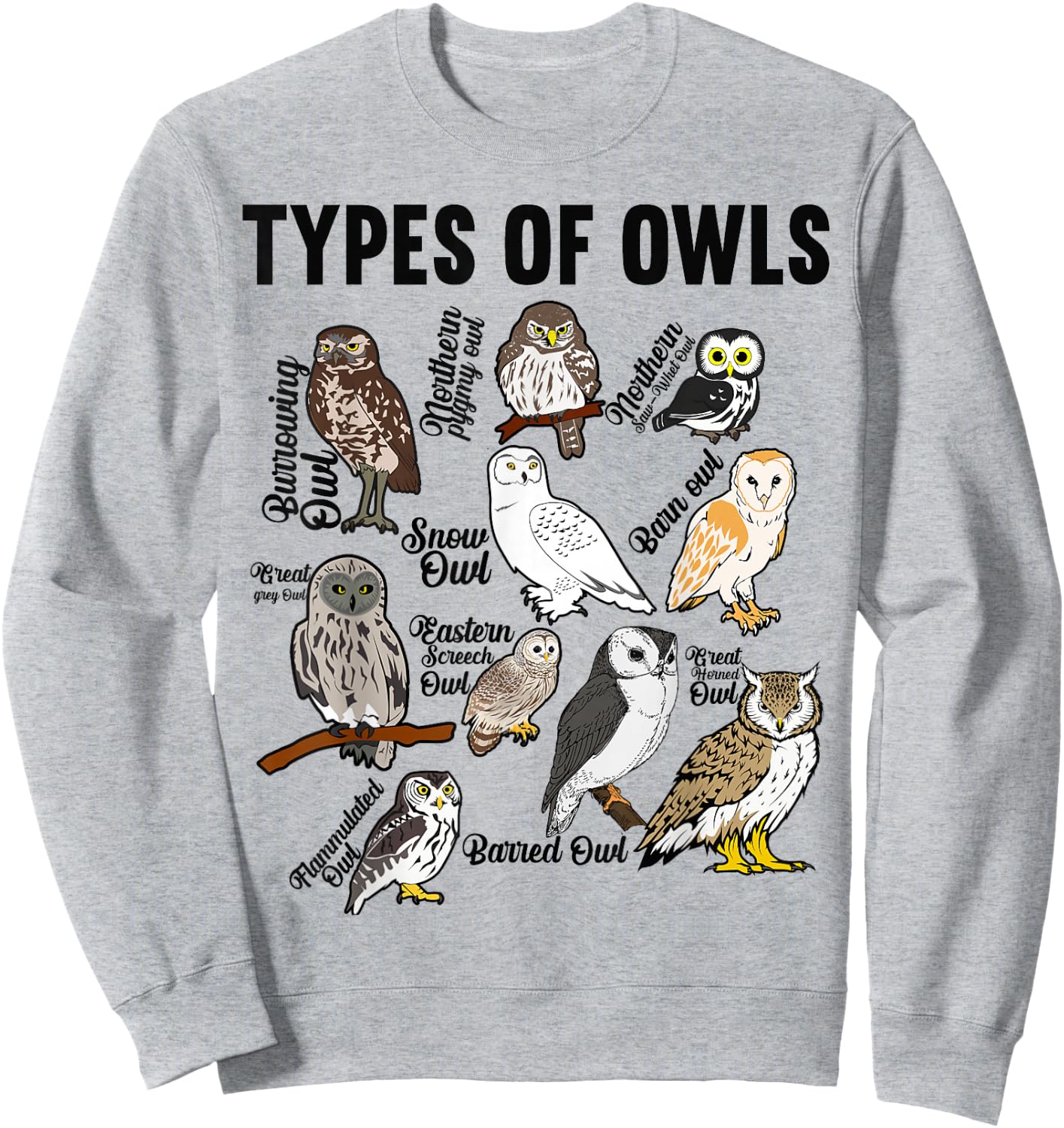Types of Owls Owl Sweatshirt - Sweatshirt | Ash