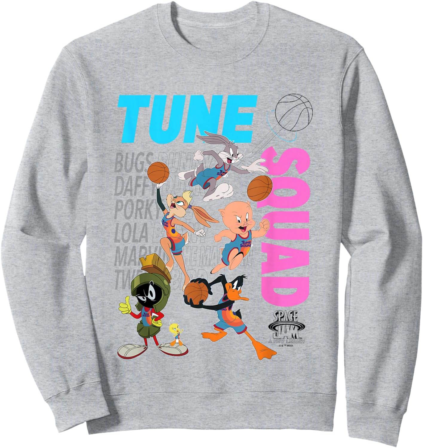 Space Jam: A New Legacy Tune Squad Group Shot Chest Logo Sweatshirt - Sweatshirt | Ash