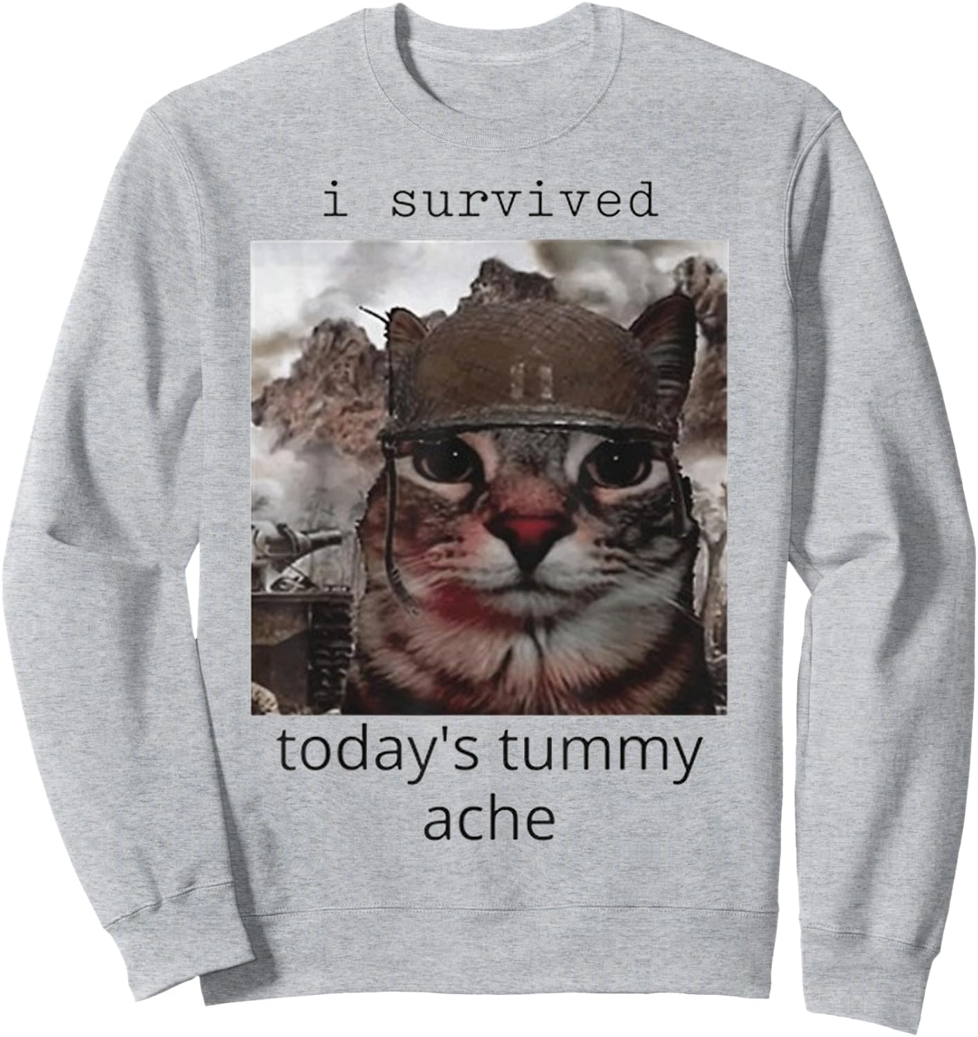 I survived today's tummy ache Cat Sweatshirt - Sweatshirt | Ash