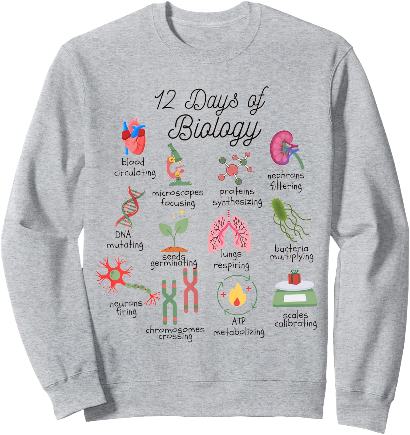 12 Days Of Biology Science Christmas Science Teacher Student Sweatshirt - Sweatshirt | Ash