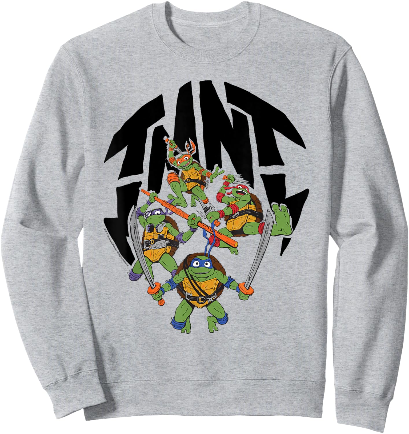 Teenage Mutant Ninja Turtles: Mutant Mayhem Turtle Shell Sweatshirt - Sweatshirt | Ash