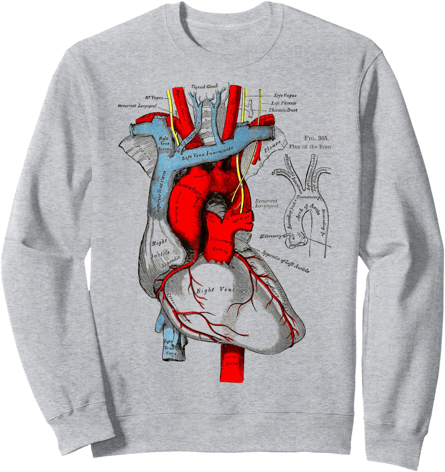 Vintage medical Human Heart Anatomy Illustration Sweatshirt - Sweatshirt | Ash