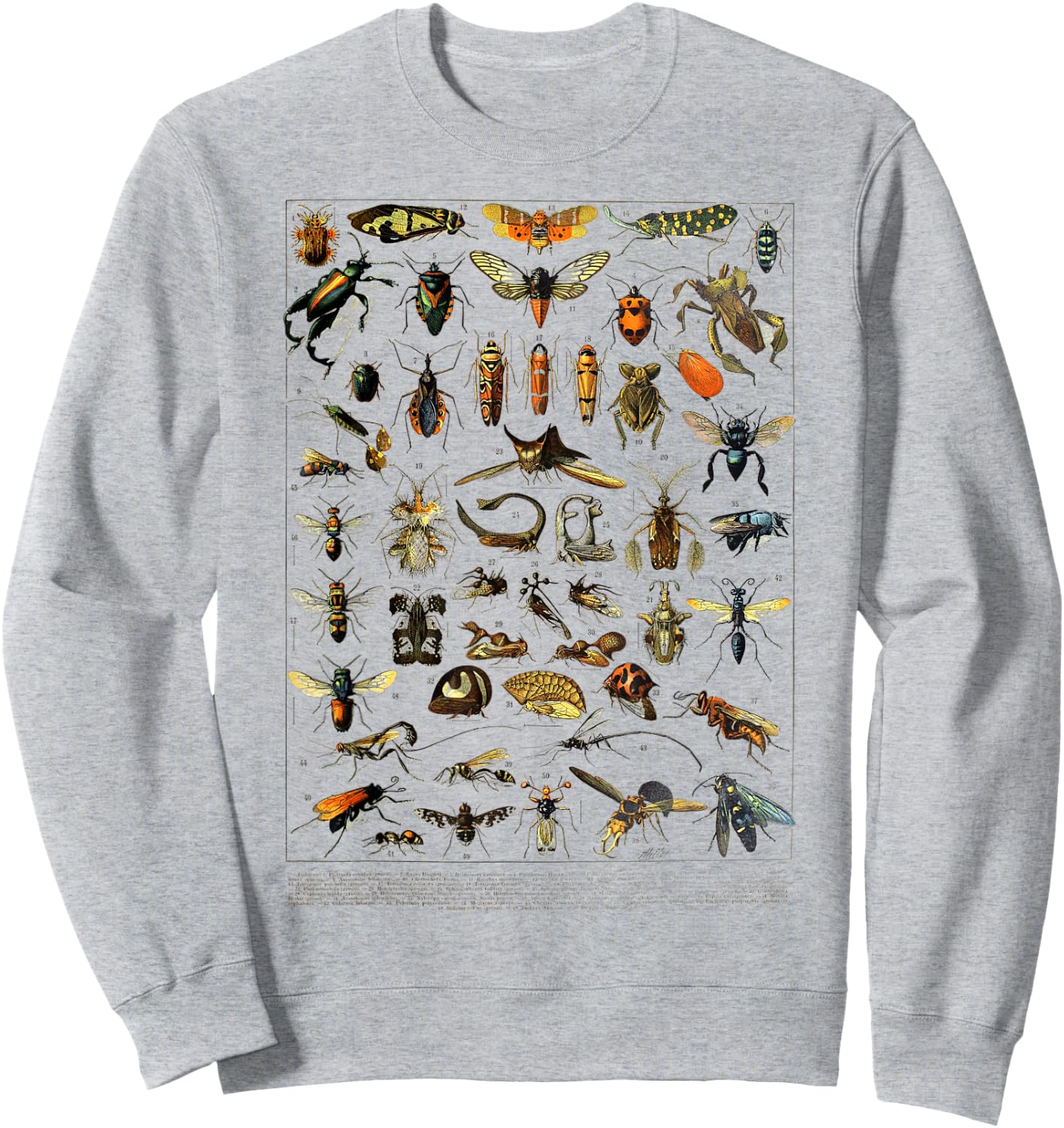 insects Collection Species Bugs Vintage Entomology Sweatshirt - Sweatshirt | Ash