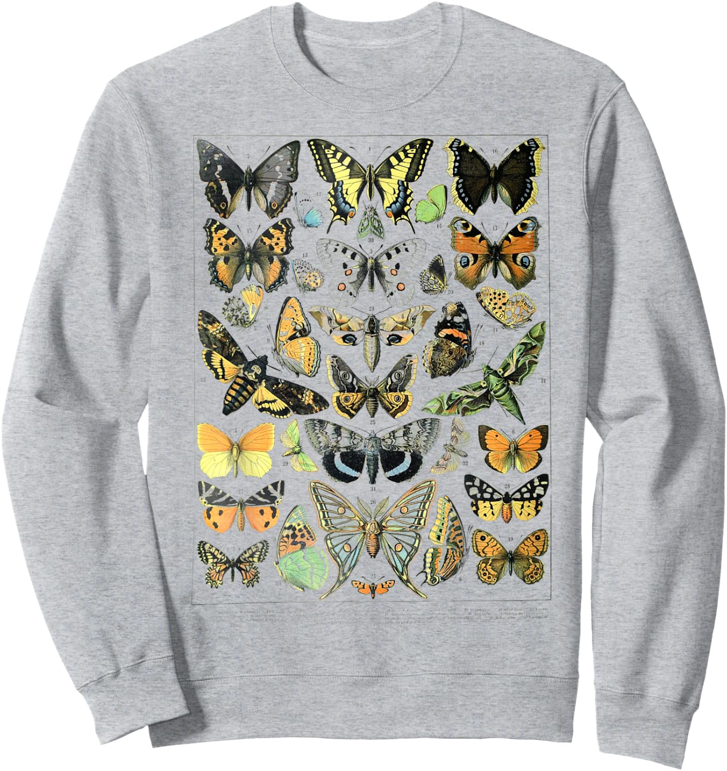 Papillons Butterflies print Butterflies Illustration chart Sweatshirt - Sweatshirt | Ash