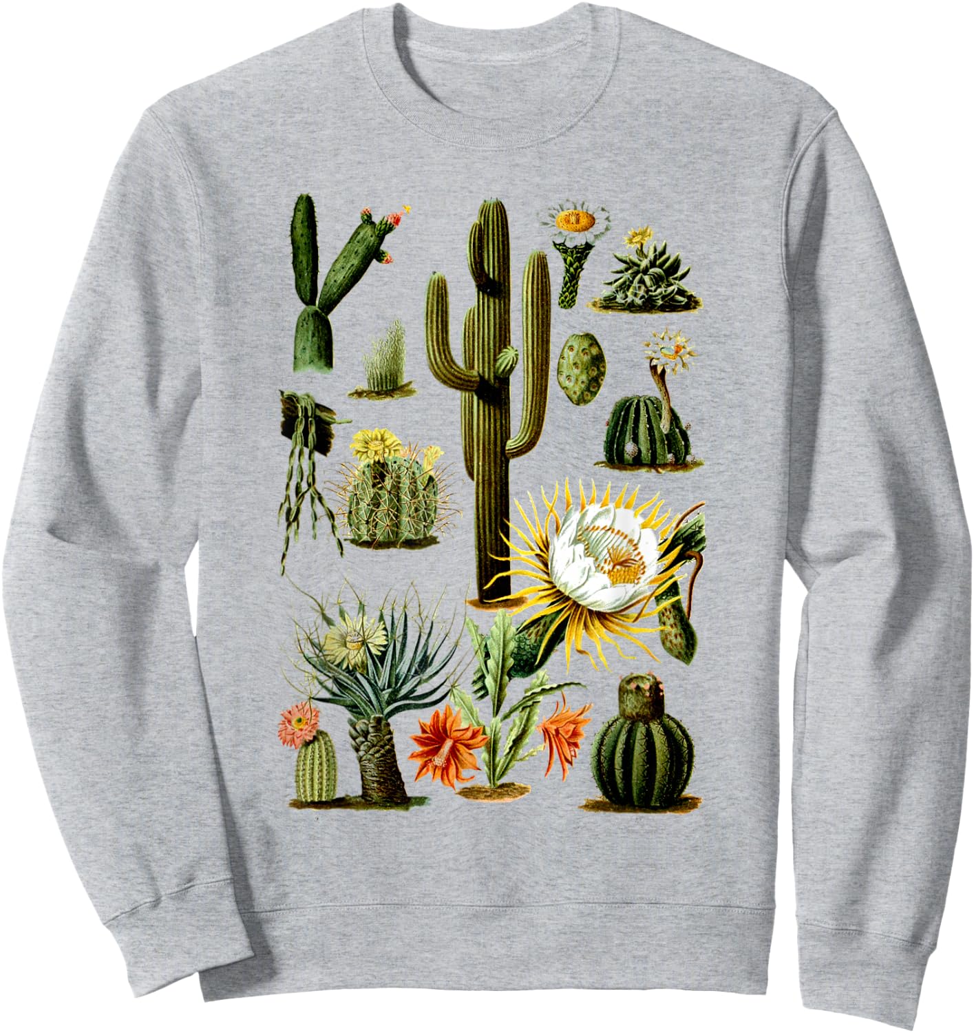 Vintage 70s Boho Botany Botanical Cactus Succulent Plant Sweatshirt - Sweatshirt | Ash