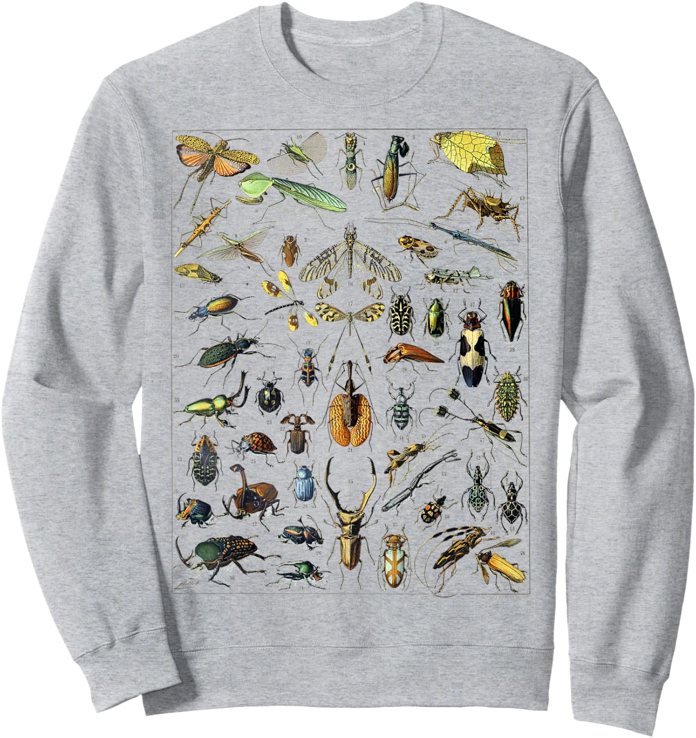 Insect Bug Entomology Print Gift Bug Print Sweatshirt - Sweatshirt | Ash