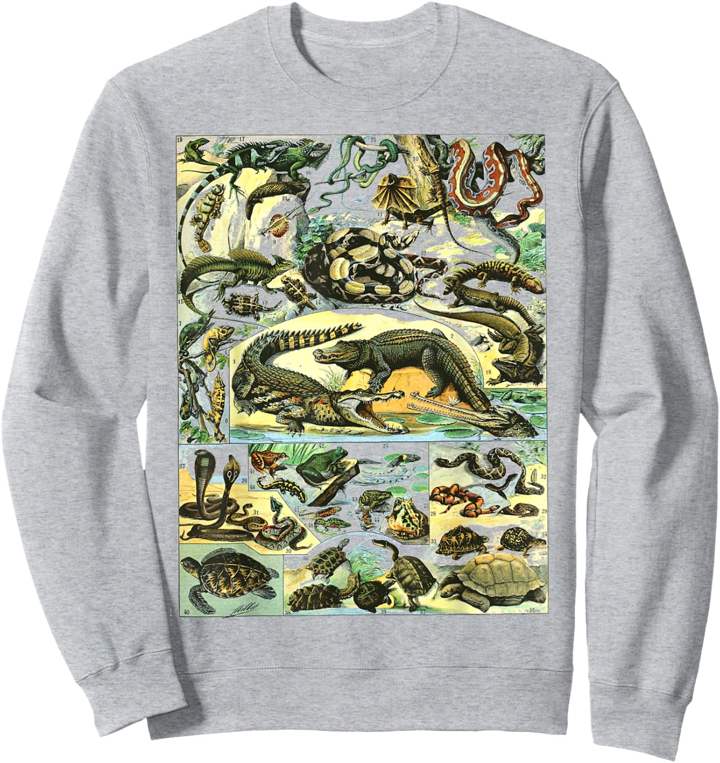 Reptiles Collection Table Turtle Snake Species Vintage Sweatshirt - Sweatshirt | Ash