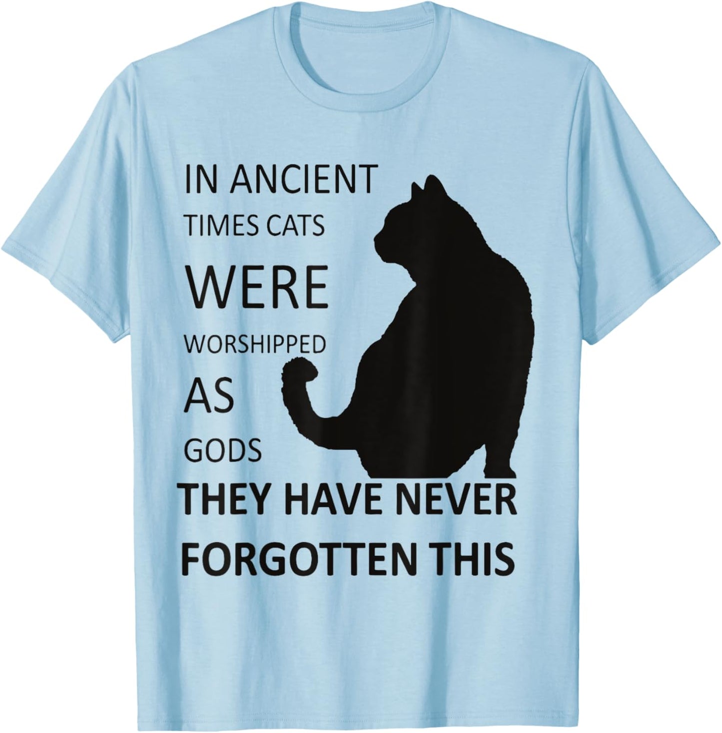 In Ancient Times Cats Were Worshipped As Gods v1 T-Shirt - T-Shirt | Light Blue