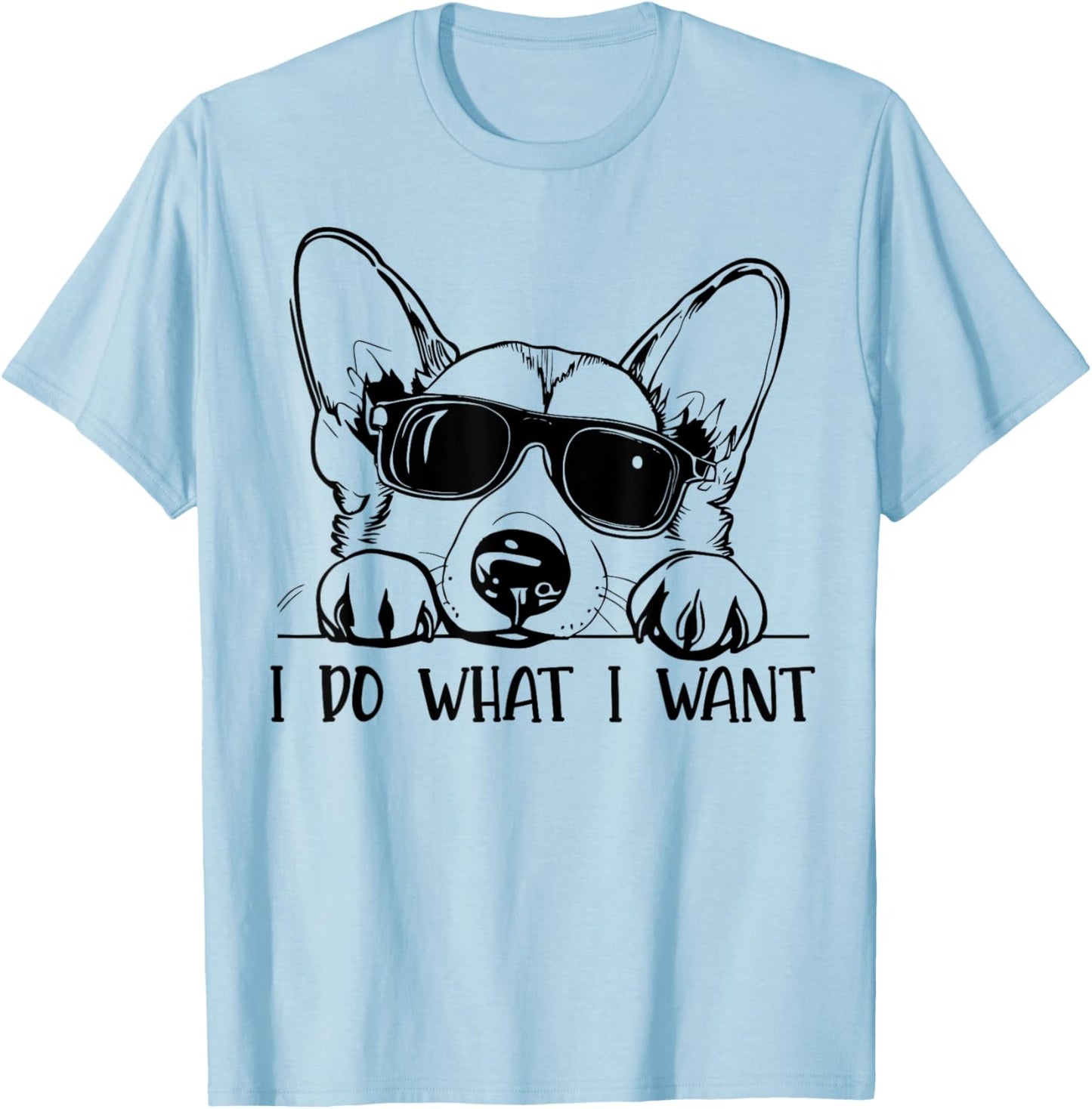 Corgi Dog Owner I Do What I Want Funny Pet T-Shirt - T-Shirt | Light Blue