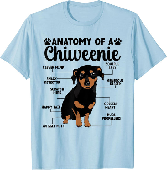 Anatomy Of A Chiweenie Owner Chiweenie Mom Chiweenie Dad T-Shirt - T-Shirt | Light Blue