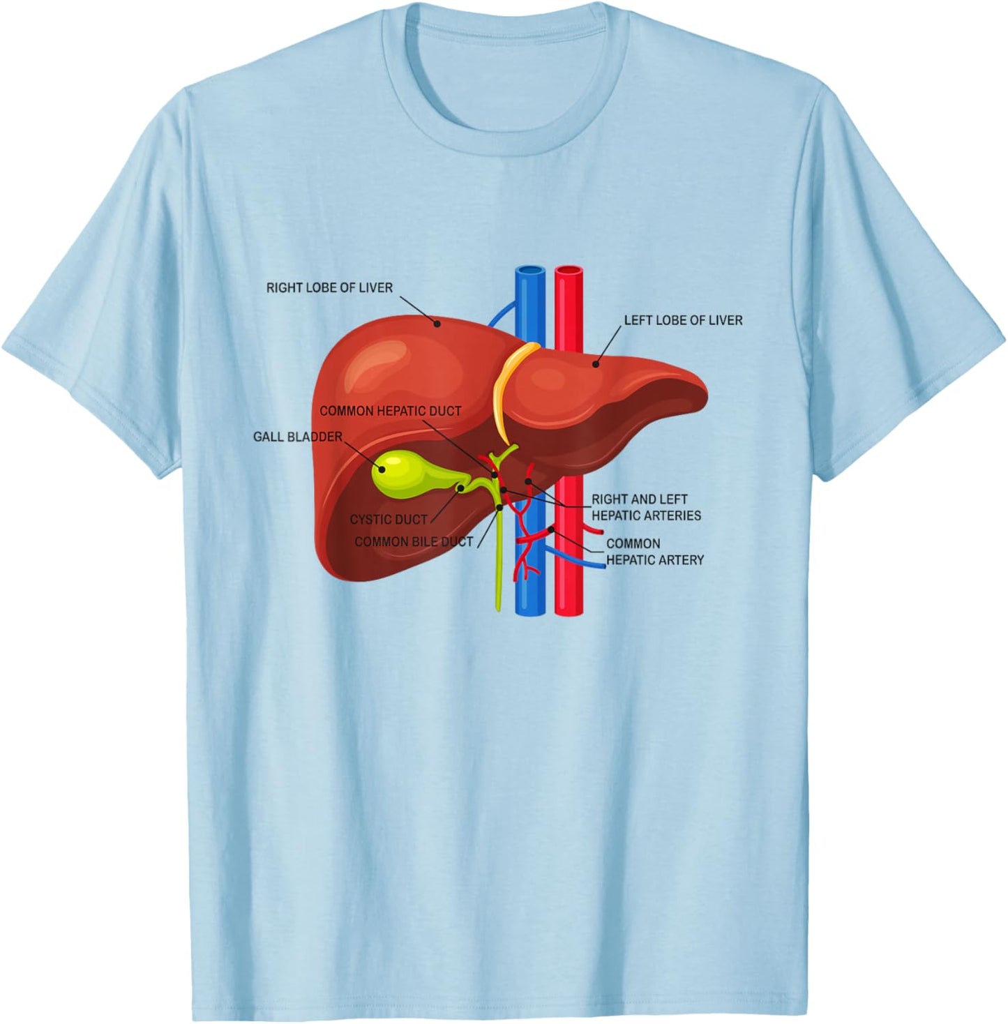 Funny Human Liver Anatomy Anatomical Liver T-Shirt - T-Shirt | Light Blue