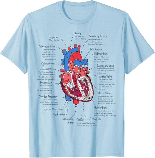 Heart Anatomy Funny CVICU Nurse T-Shirt - T-Shirt | Light Blue