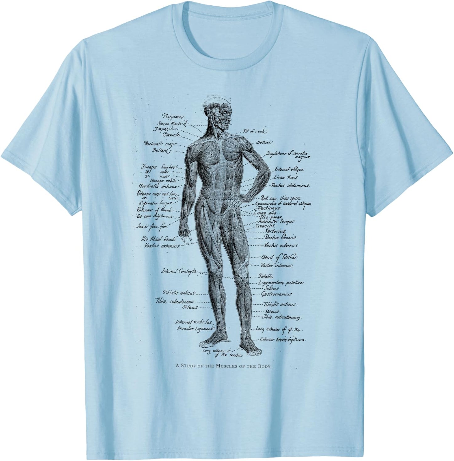 Human Muscle Anatomy Design Gift T-Shirt - T-Shirt | Light Blue