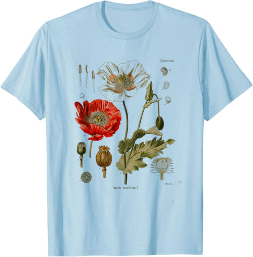 Vintage Botanical flower wild flower Garden Botany