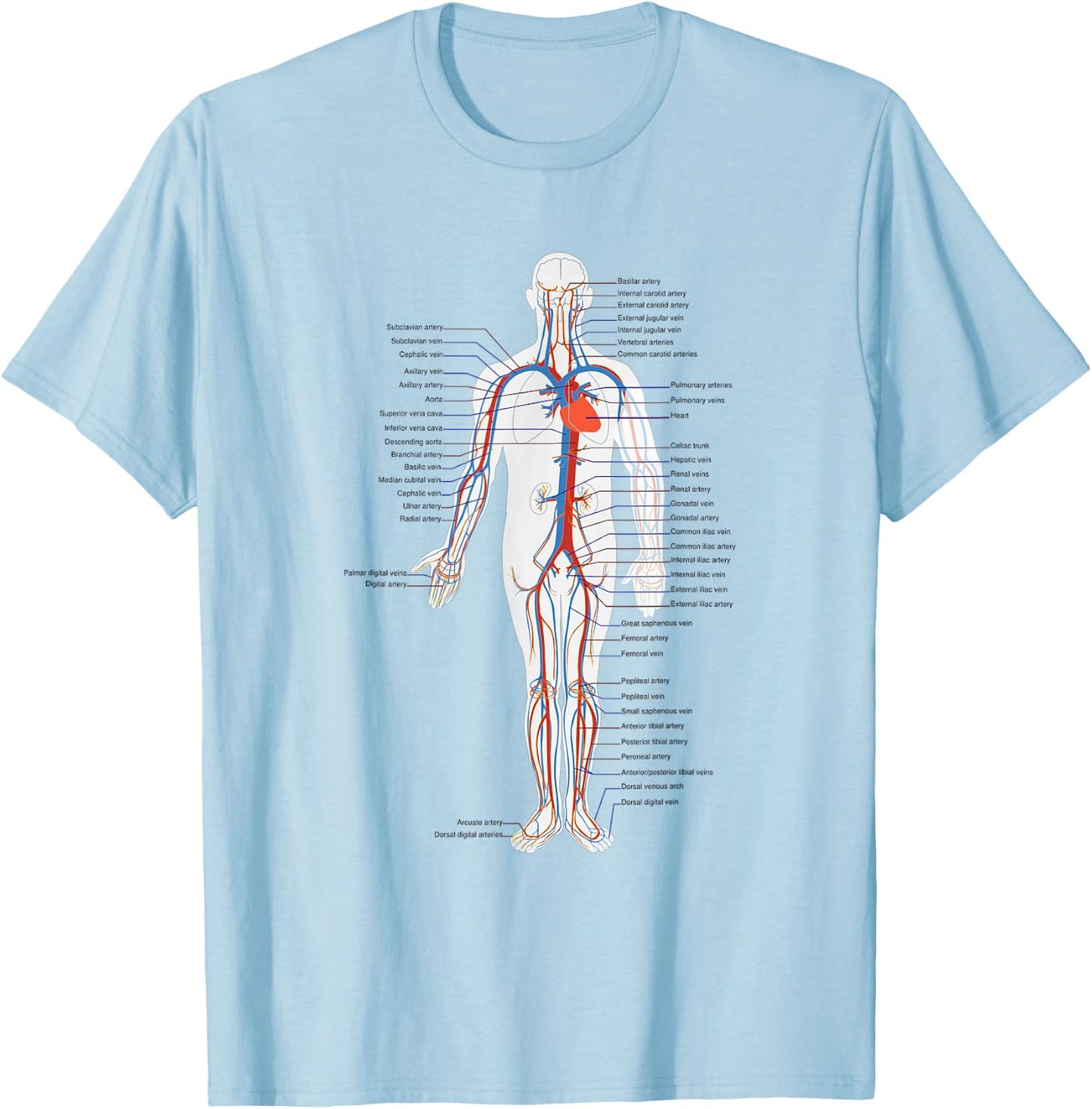 Circulatory System Anatomy Chart Arteries Veins T-Shirt - T-Shirt | Light Blue