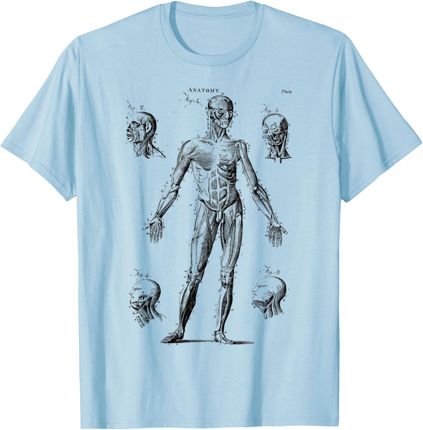 Human Muscle Anatomy Medical Anatomy T-Shirt - T-Shirt | Light Blue