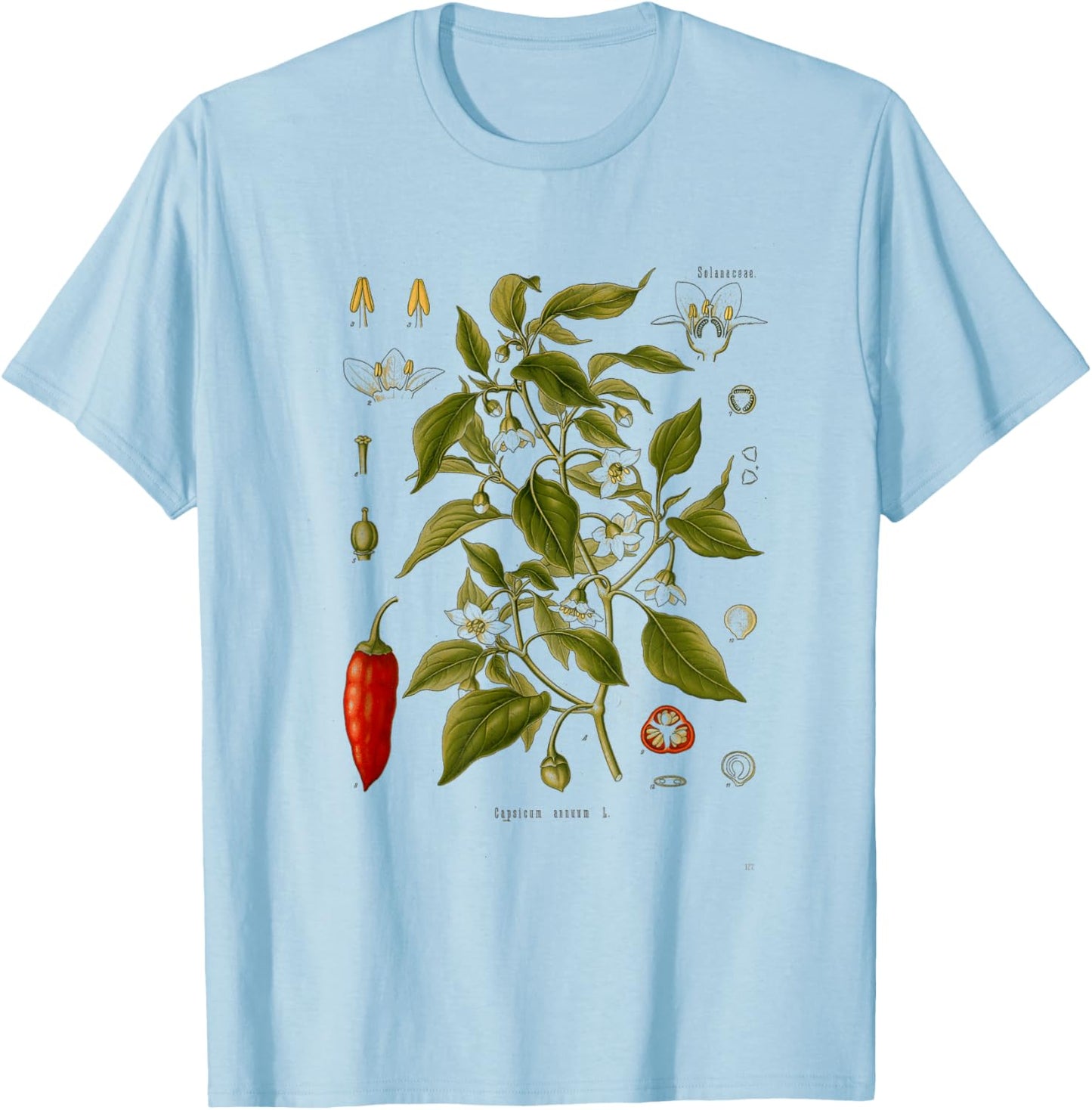 Vintage Botanical chili red peppers Garden Botany T-Shirt - T-Shirt | Light Blue