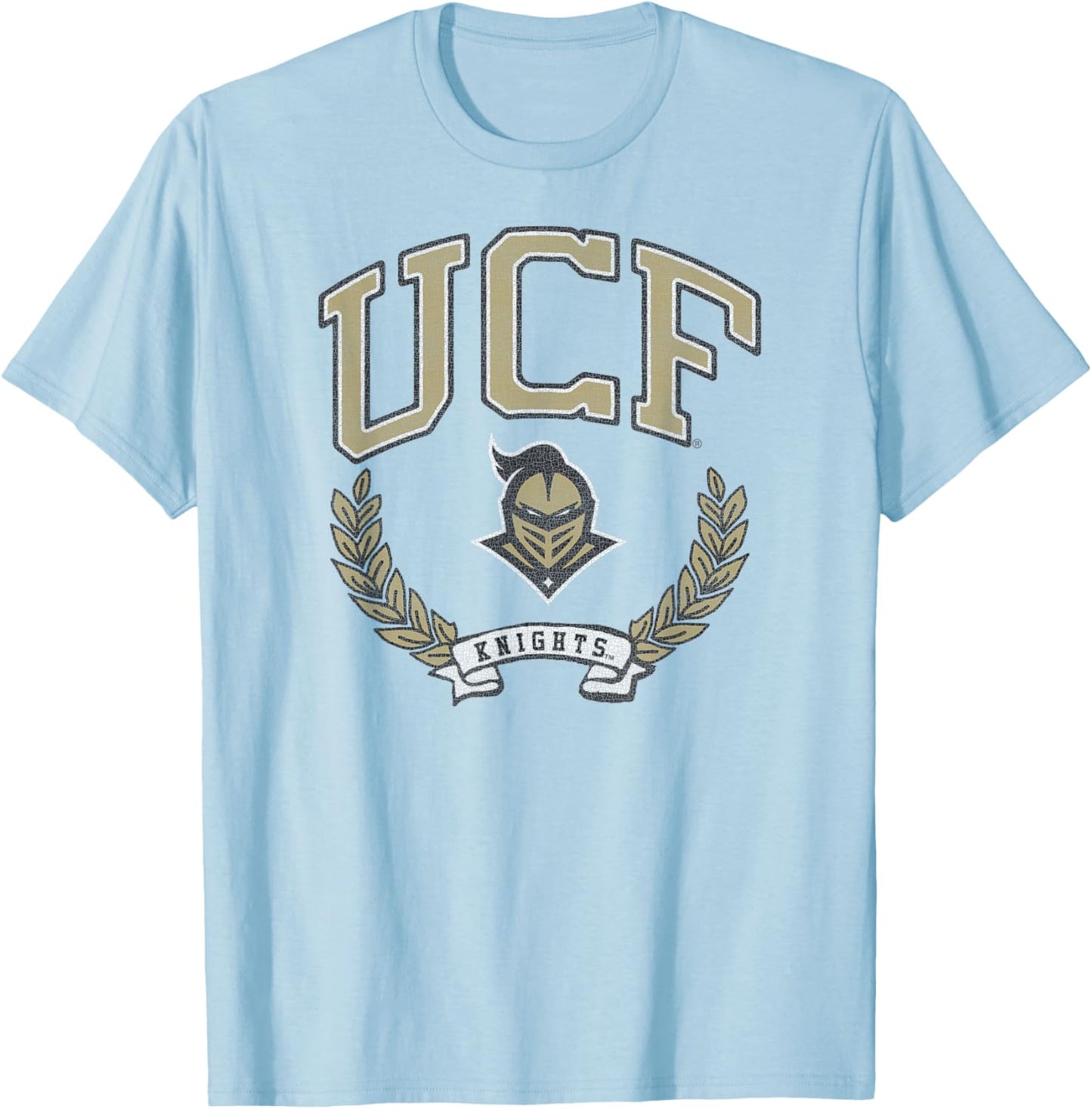 Central Florida Golden Knights Victory Vintage Gray T-Shirt - T-Shirt | Light Blue