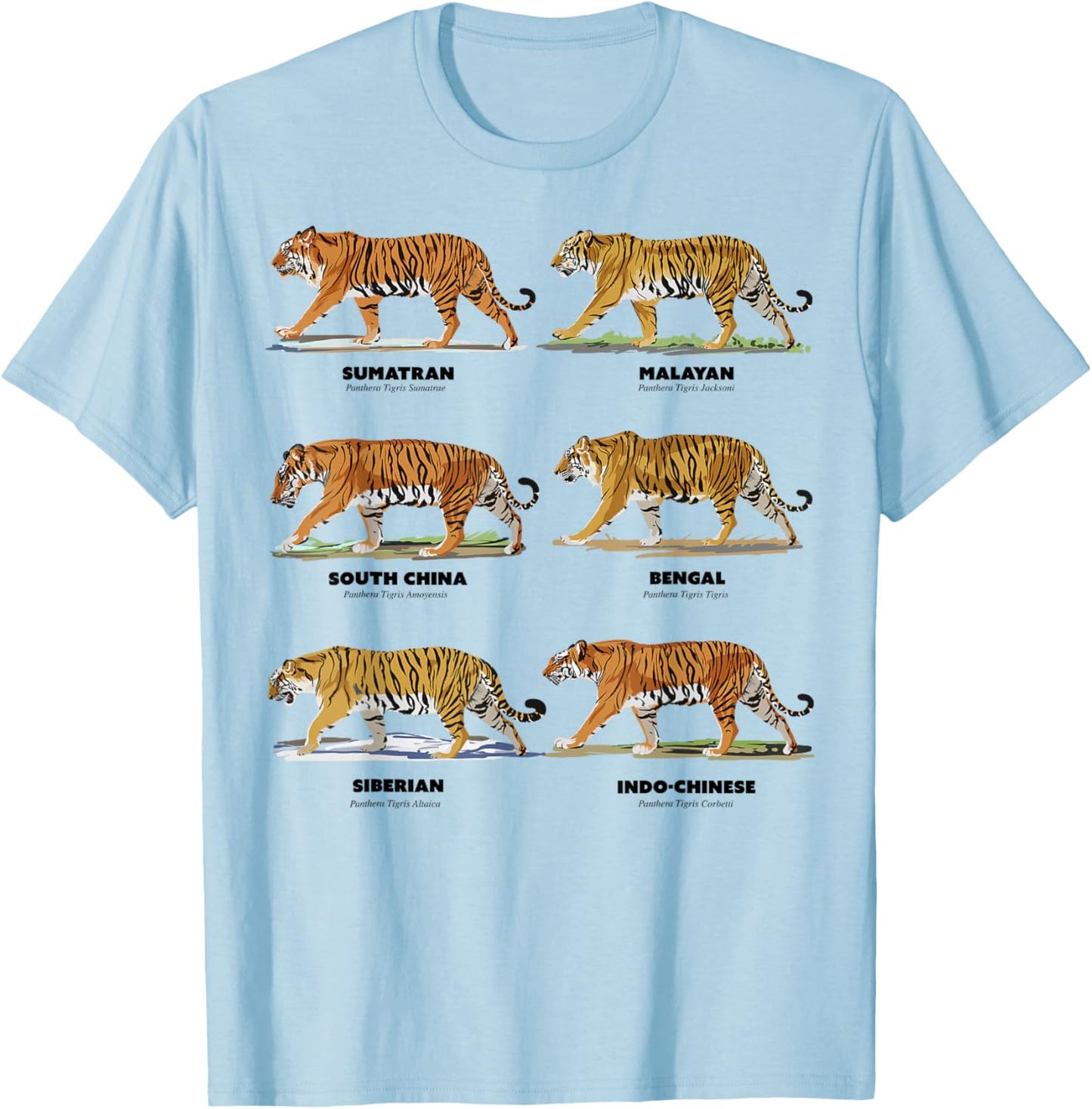 Scientific Exotic Tiger Names T-Shirt - T-Shirt | Light Blue
