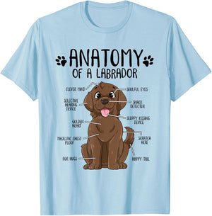 Funny Anatomy Labrador Retriever Chocolate Lab Dog Owner T-Shirt - T-Shirt | Light Blue