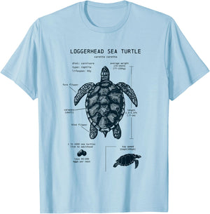 Youth Sea Turtle Anatomy T-Shirt - T-Shirt | Light Blue