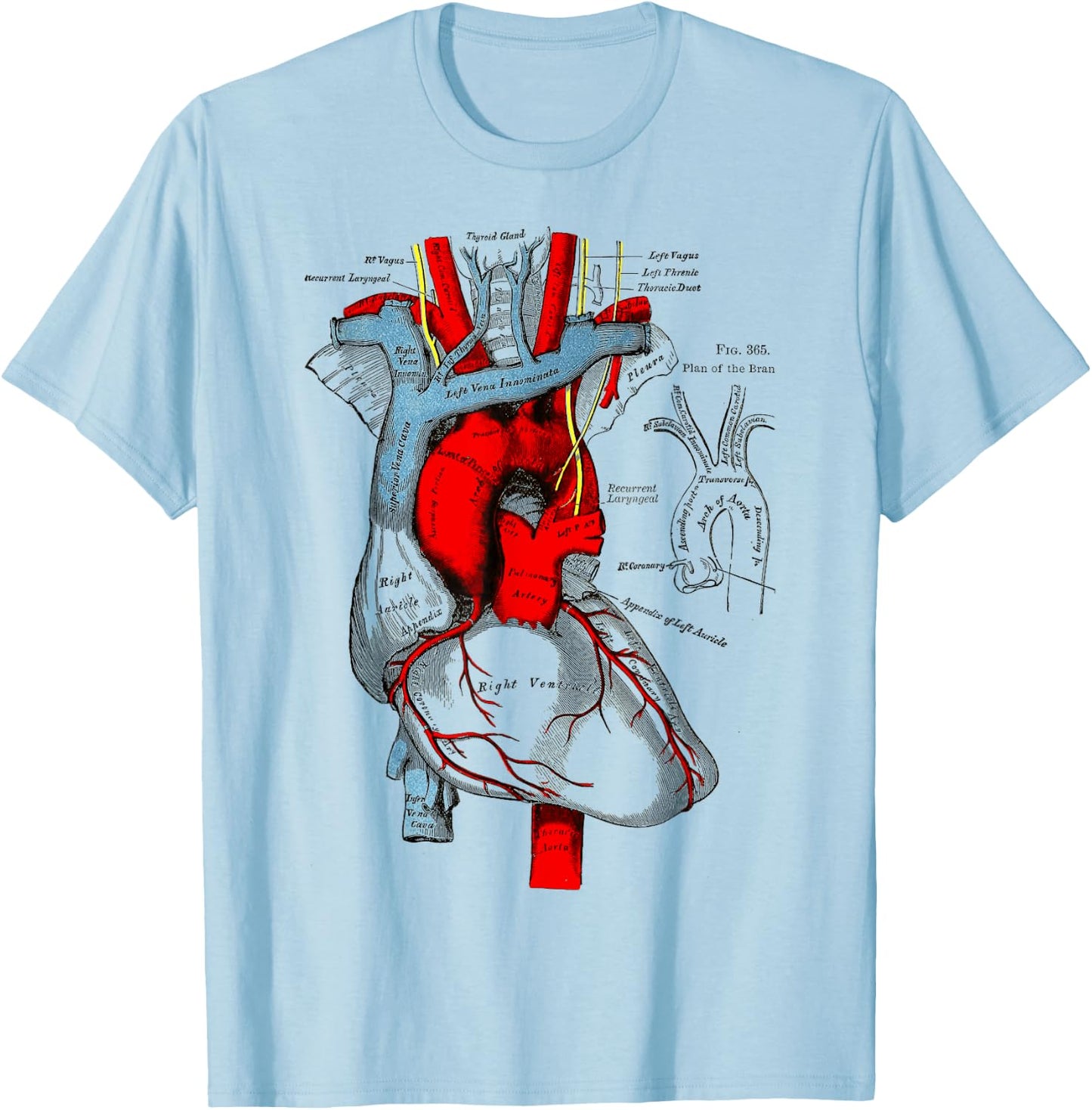 Vintage medical Human Heart Anatomy Illustration T-Shirt - T-Shirt | Light Blue