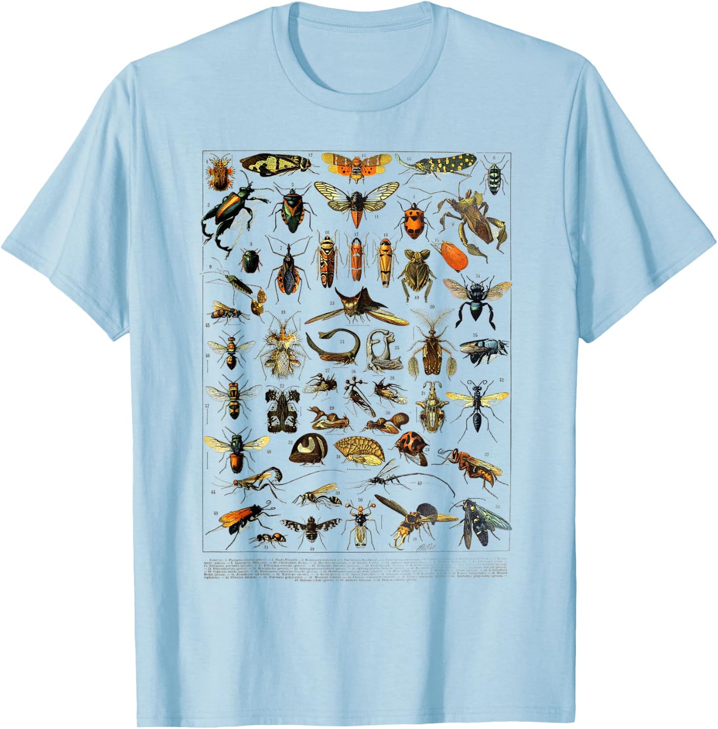 insects Collection Species Bugs Vintage Entomology T-Shirt - T-Shirt | Light Blue