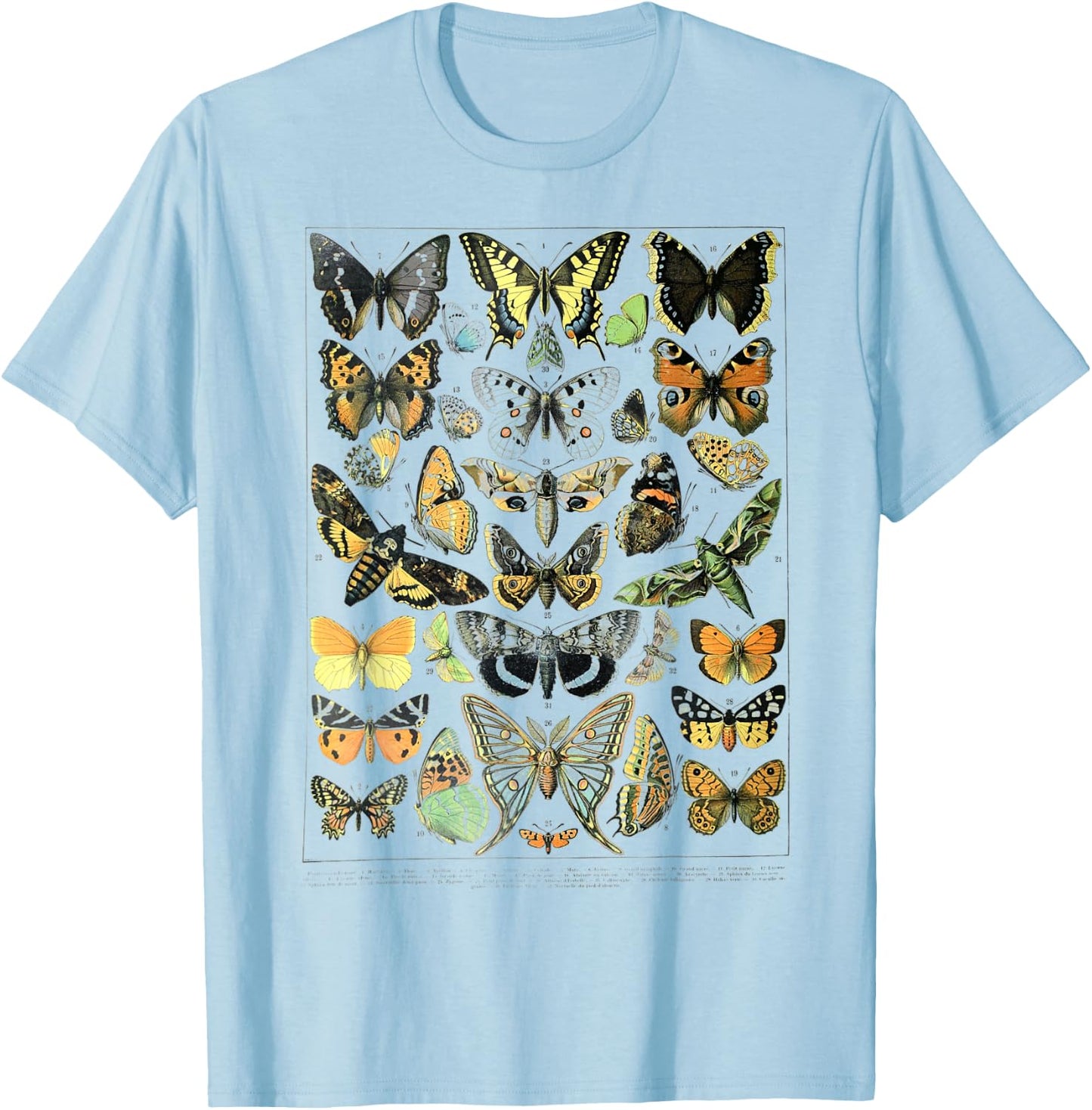 Papillons Butterflies print Butterflies Illustration chart T-Shirt - T-Shirt | Light Blue