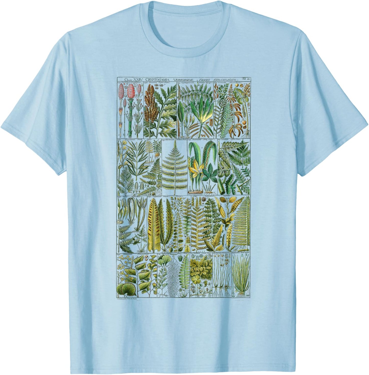 Fern Botanical Plant Botany T-Shirt - T-Shirt | Light Blue