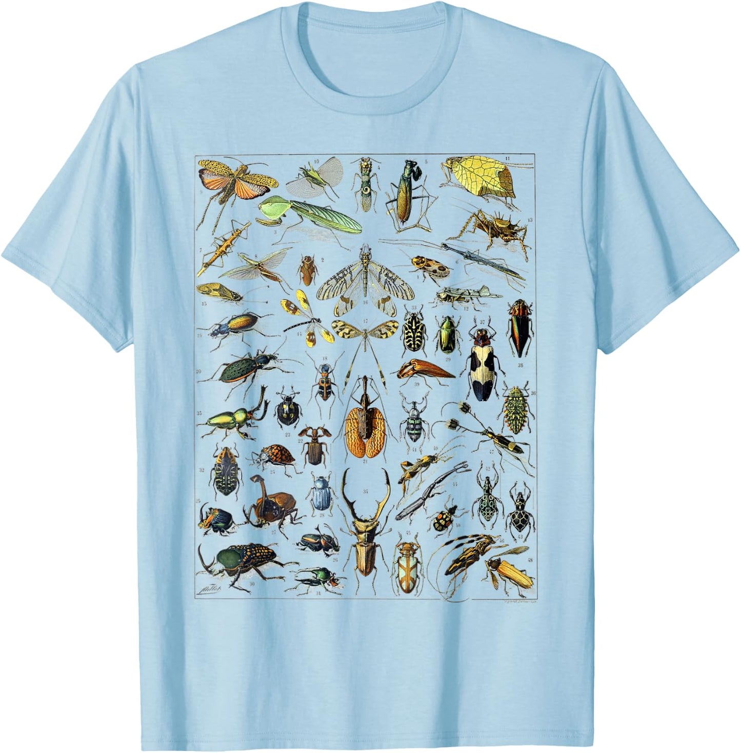 Insect Bug Entomology Print Gift Bug Print T-Shirt - T-Shirt | Light Blue