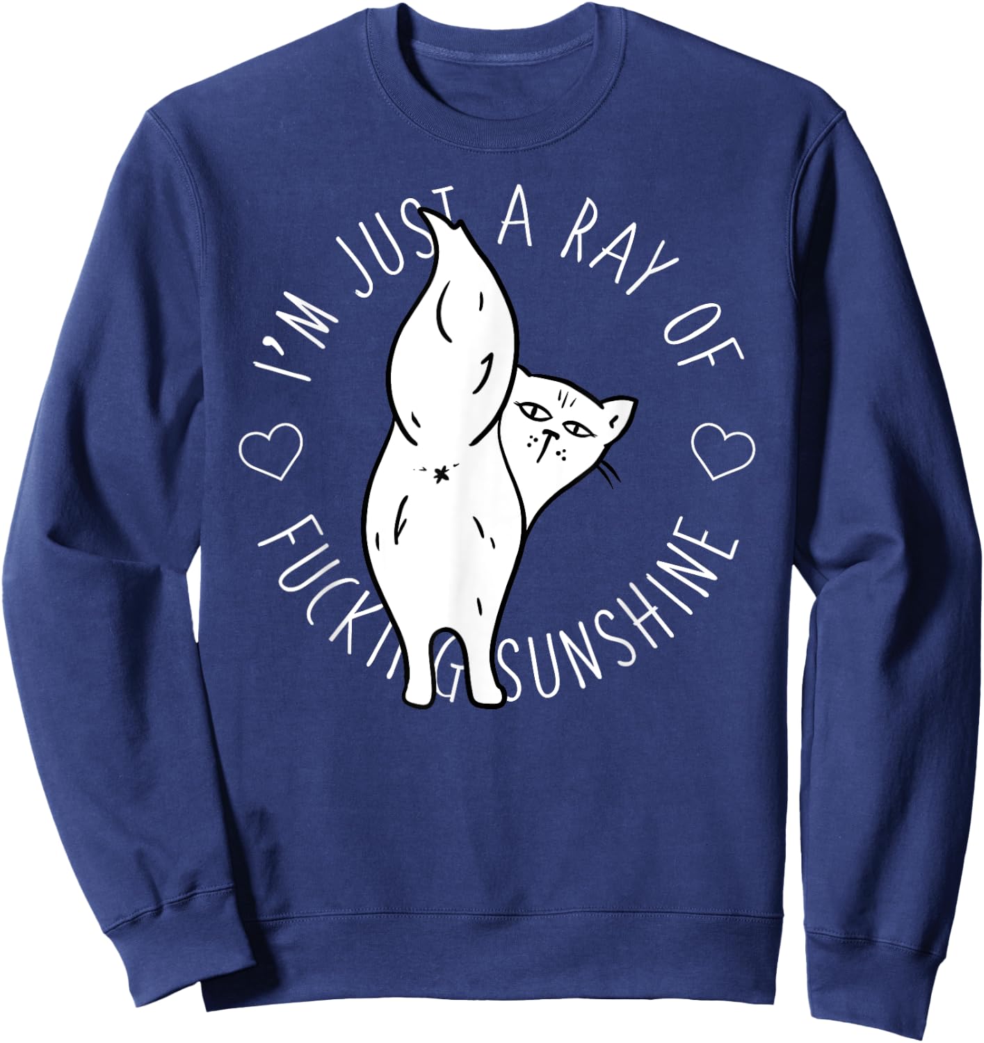 Salty Cat Ray of Fucking Sunshine Shirt Swear Offensive Men Women Sweatshirt - Sweatshirt | Navy