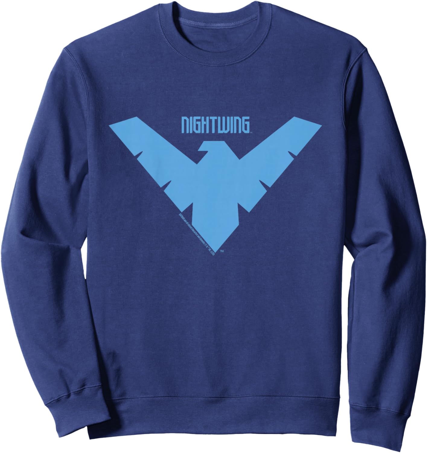Kids Batman Nightwing Logo Kids , Black, 2 Sweatshirt - Sweatshirt | Navy