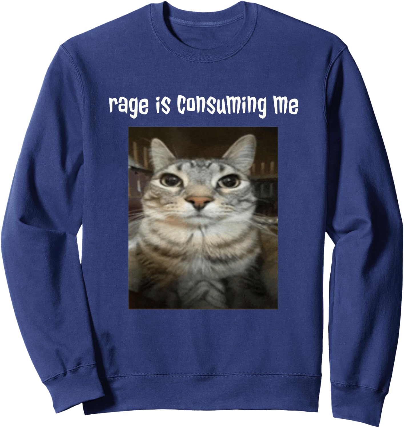 Silly Staring Cat Meme Rage Is Consuming Me Sweatshirt - Sweatshirt | Navy
