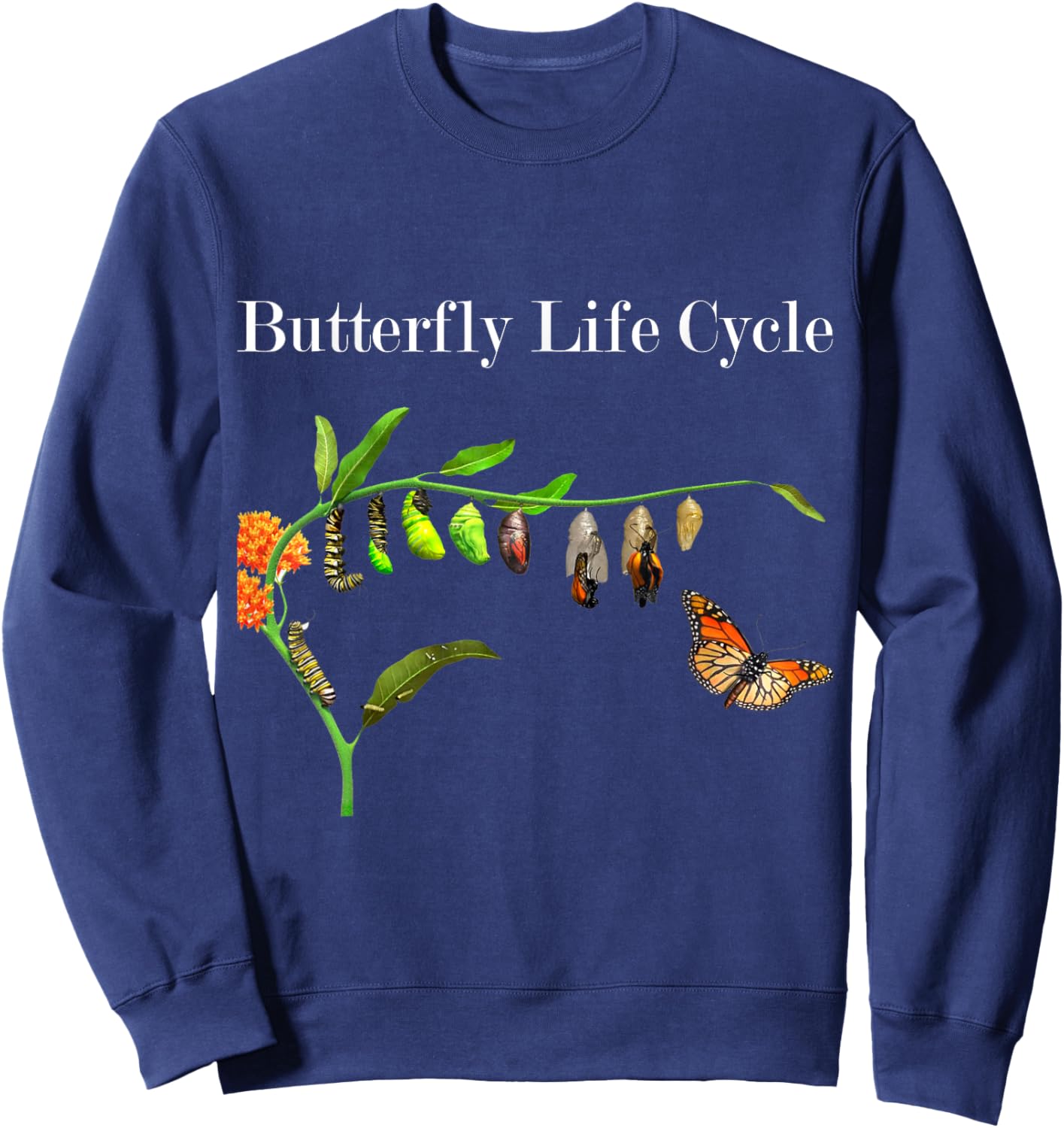 Butterfly Life Cycle Butterflies Natural Sciences Lover Sweatshirt - Sweatshirt | Navy