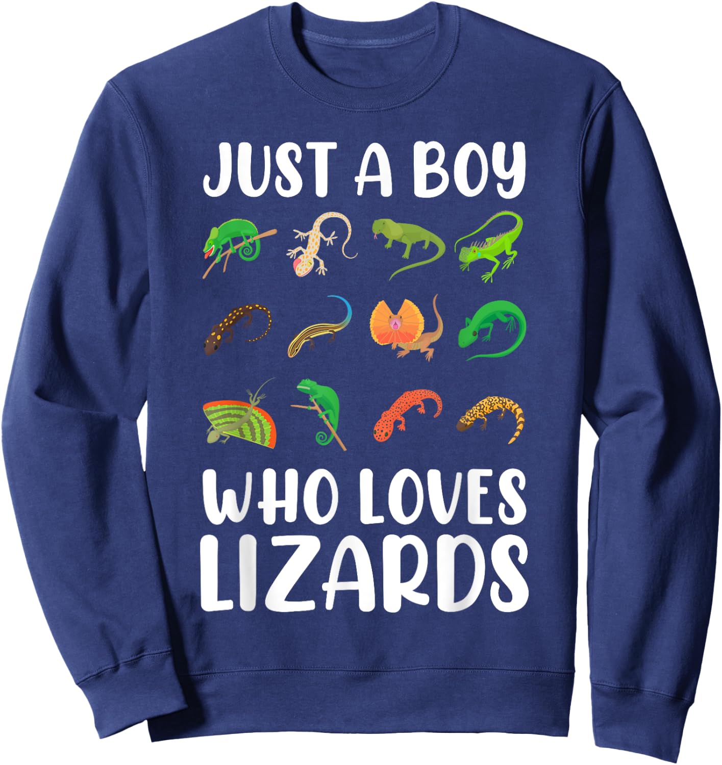Reptile Kids Lizard Just A Boy Who Loves Lizards Sweatshirt - Sweatshirt | Navy