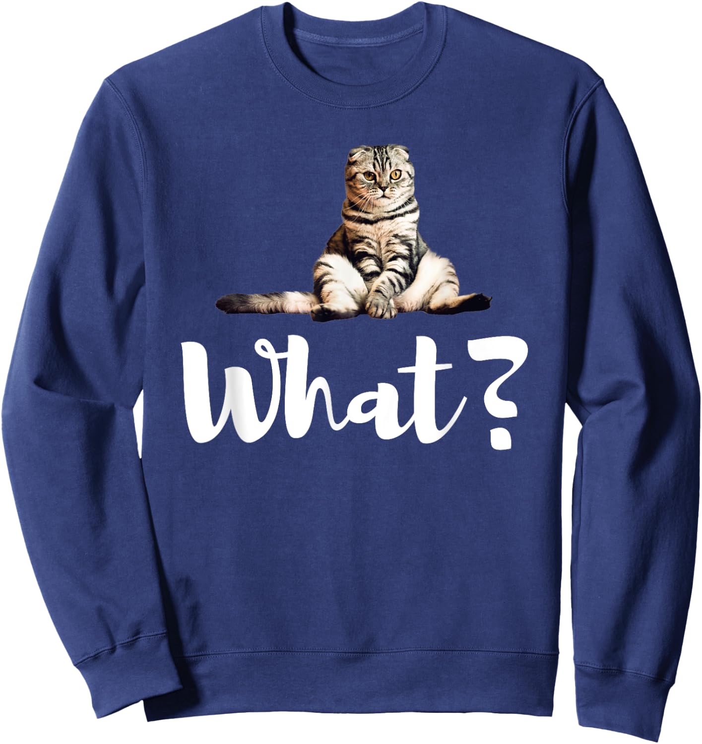 Scottish Fold Cats Funny What Cute Kitten Gifts Sweatshirt - Sweatshirt | Navy