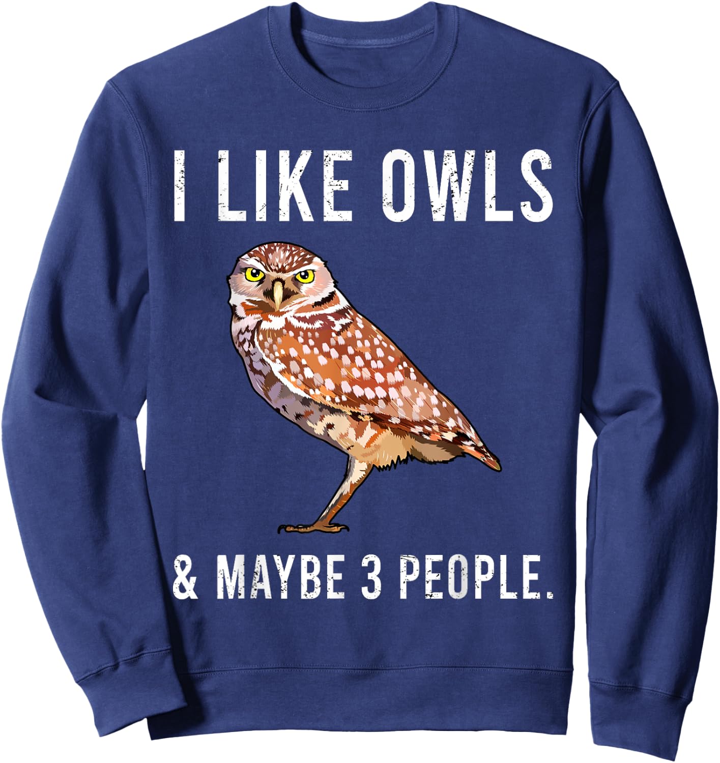 Funny I Like Burrowing Owls And Maybe 3 People Sweatshirt - Sweatshirt | Navy