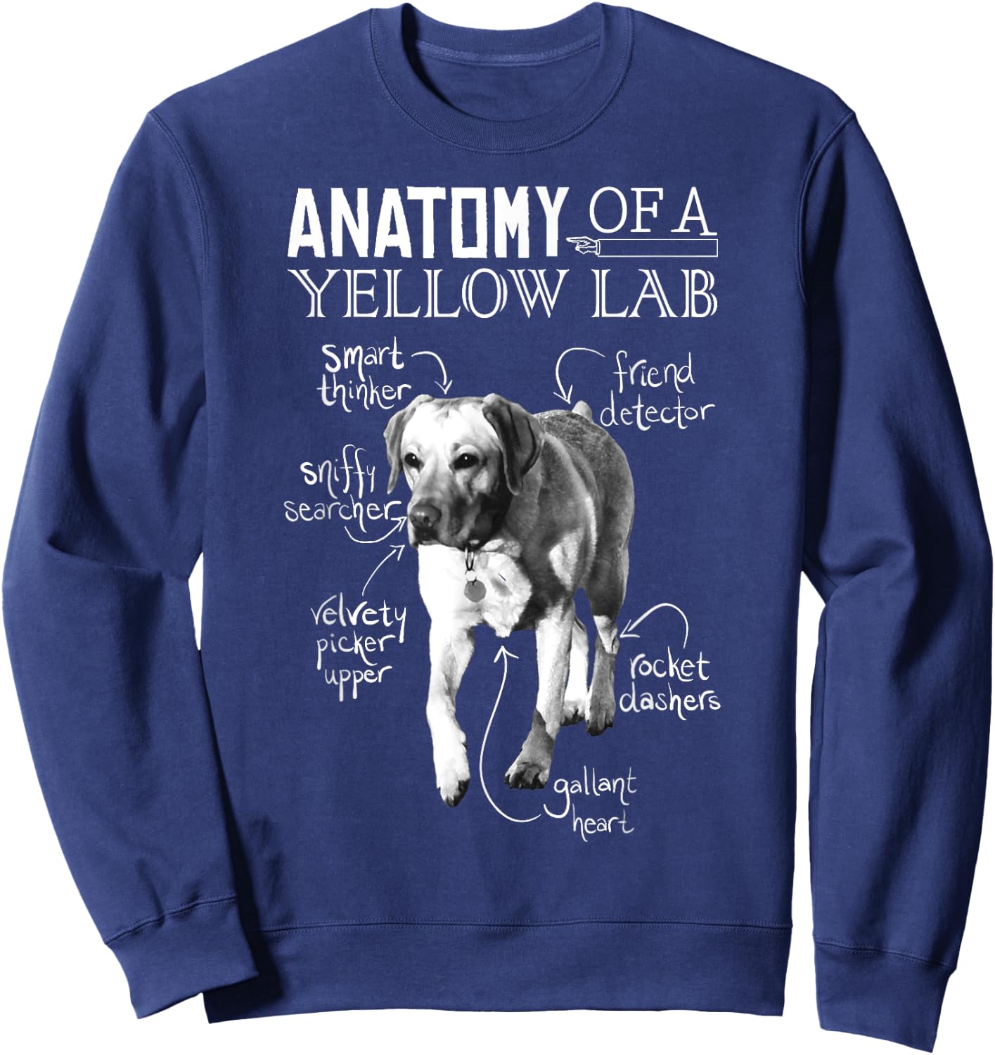 Anatomy of a Yellow Lab Chalkboard, Labrador Retriever Lover Sweatshirt - Sweatshirt | Navy