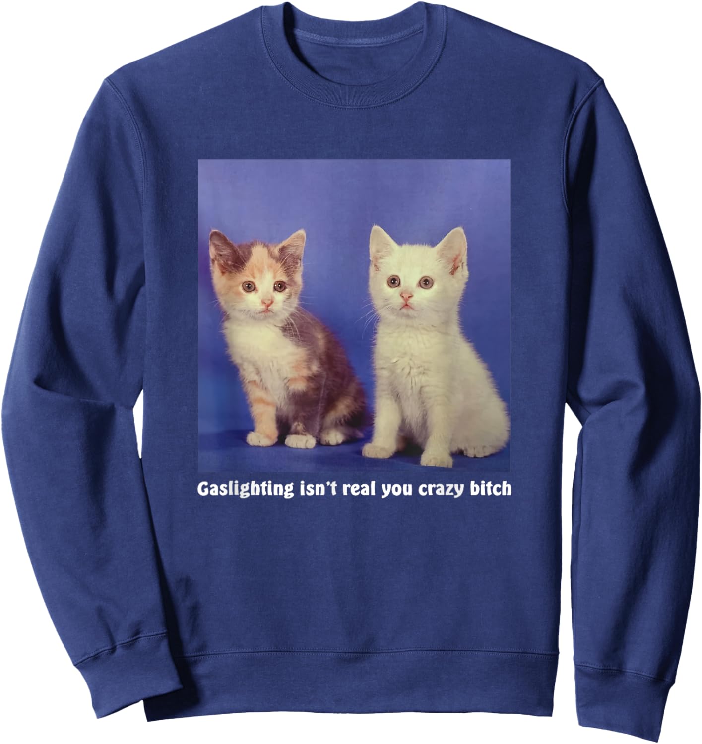 Gaslighting Isn't Real You Crazy B.I.T.C.H Funny Cat Lover Women Sweatshirt - Sweatshirt | Navy