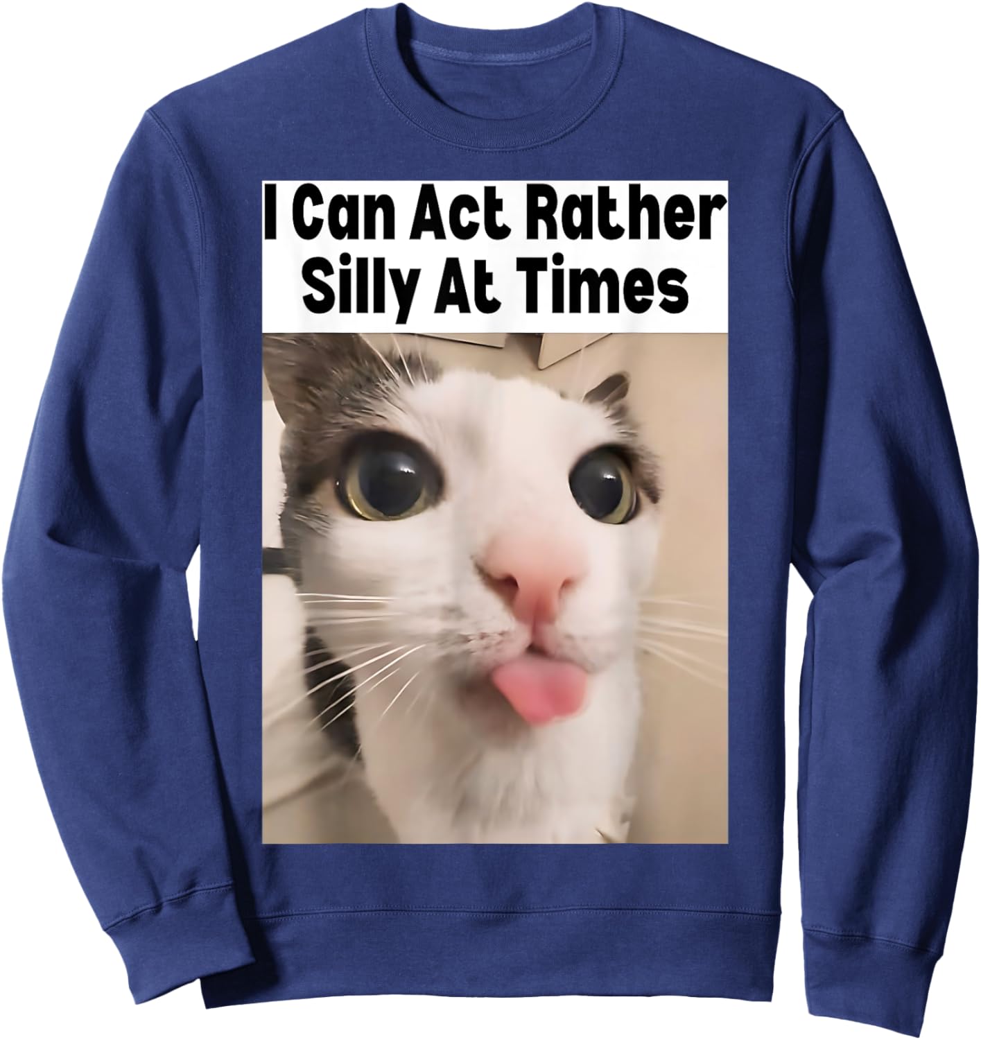 I Can Act Rather Silly At Times Cat Meme Funny Meme Gen Z Sweatshirt - Sweatshirt | Navy