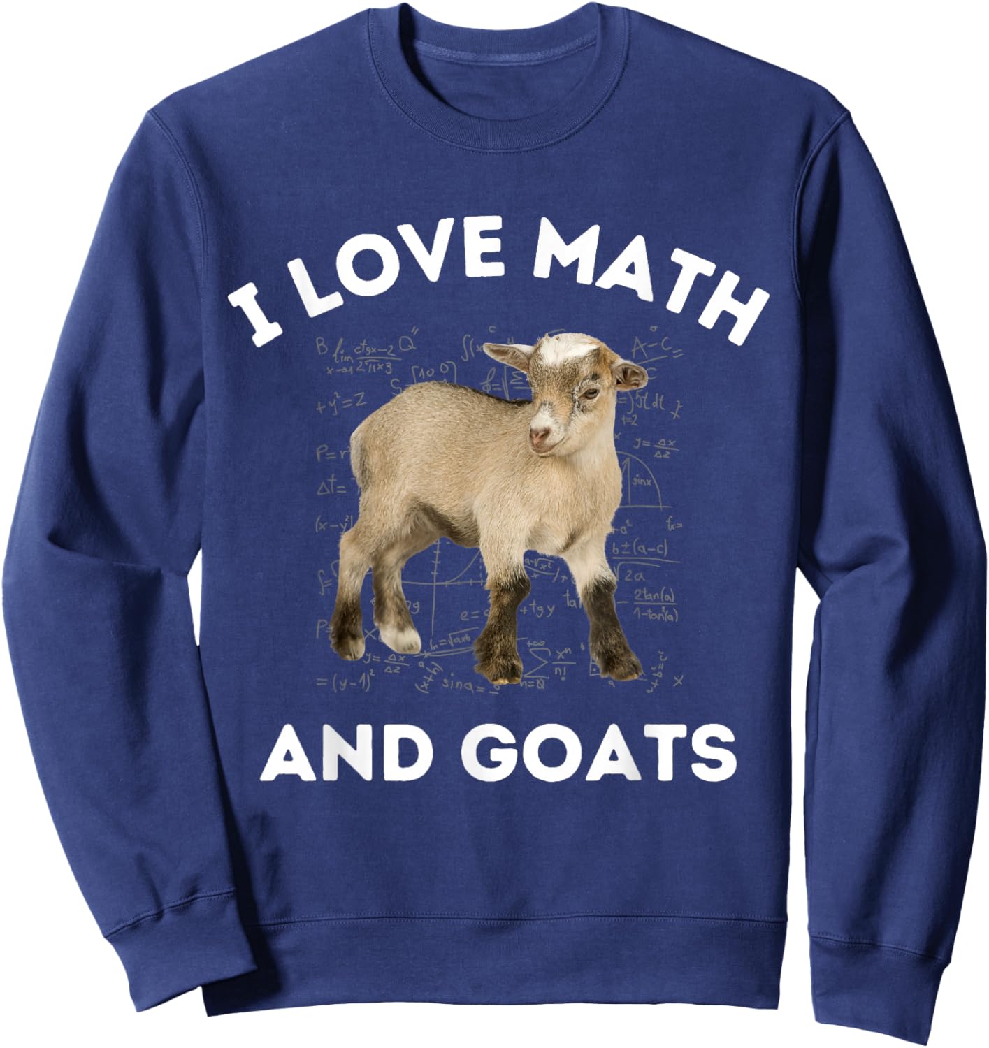 I Love Math and Goats Goat Farmer Lover Algebra Teacher Sweatshirt - Sweatshirt | Navy