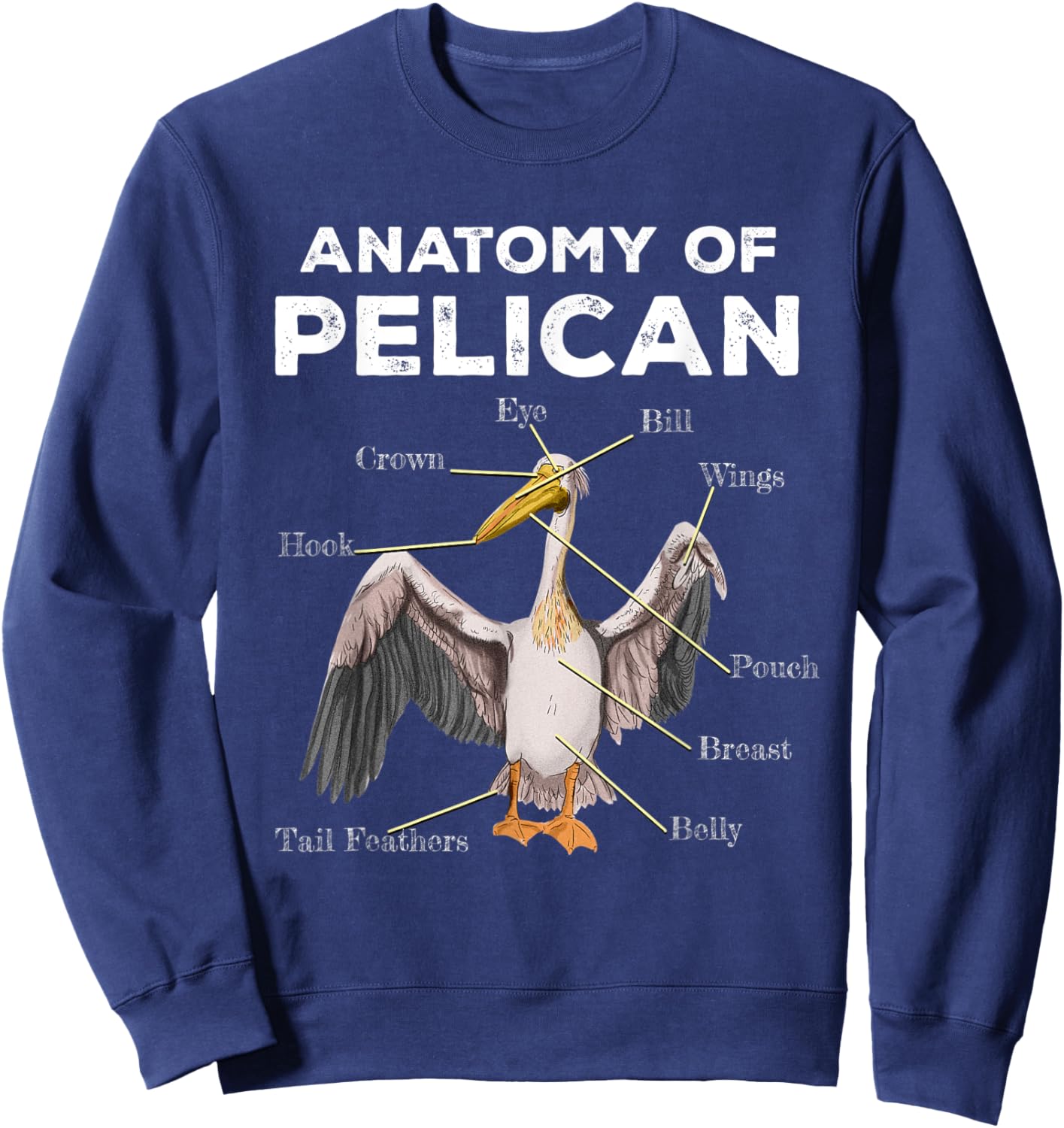 Anatomy Of A Pelican Sweatshirt - Sweatshirt | Navy
