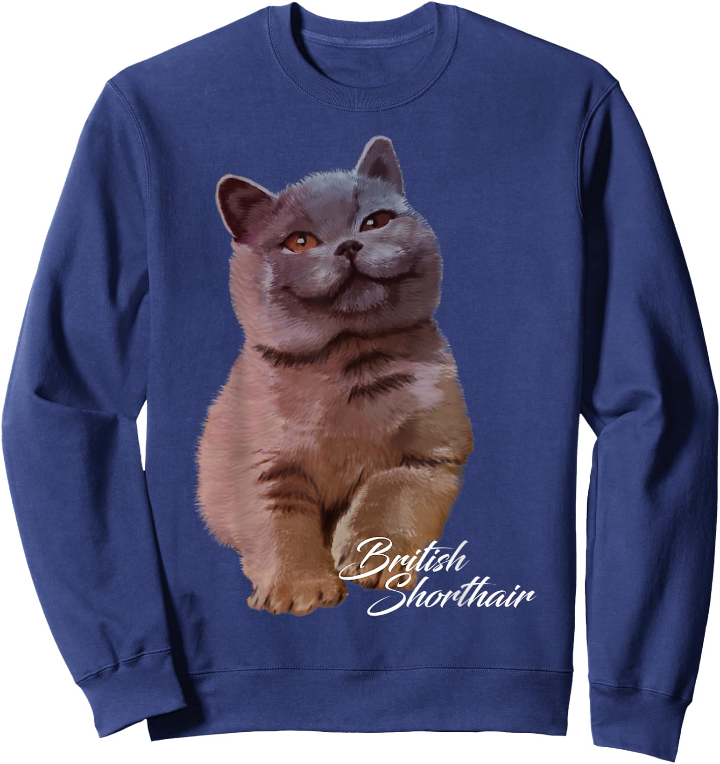 Colorful British Shorthair Cat Funny Kitties Lover Gift Men Women Kids Sweatshirt - Sweatshirt | Navy