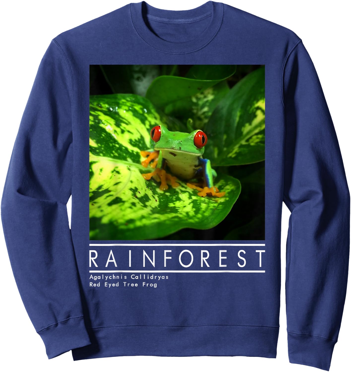 Red Eyed Tree Frog Rainforest Amphibian Sweatshirt - Sweatshirt | Navy