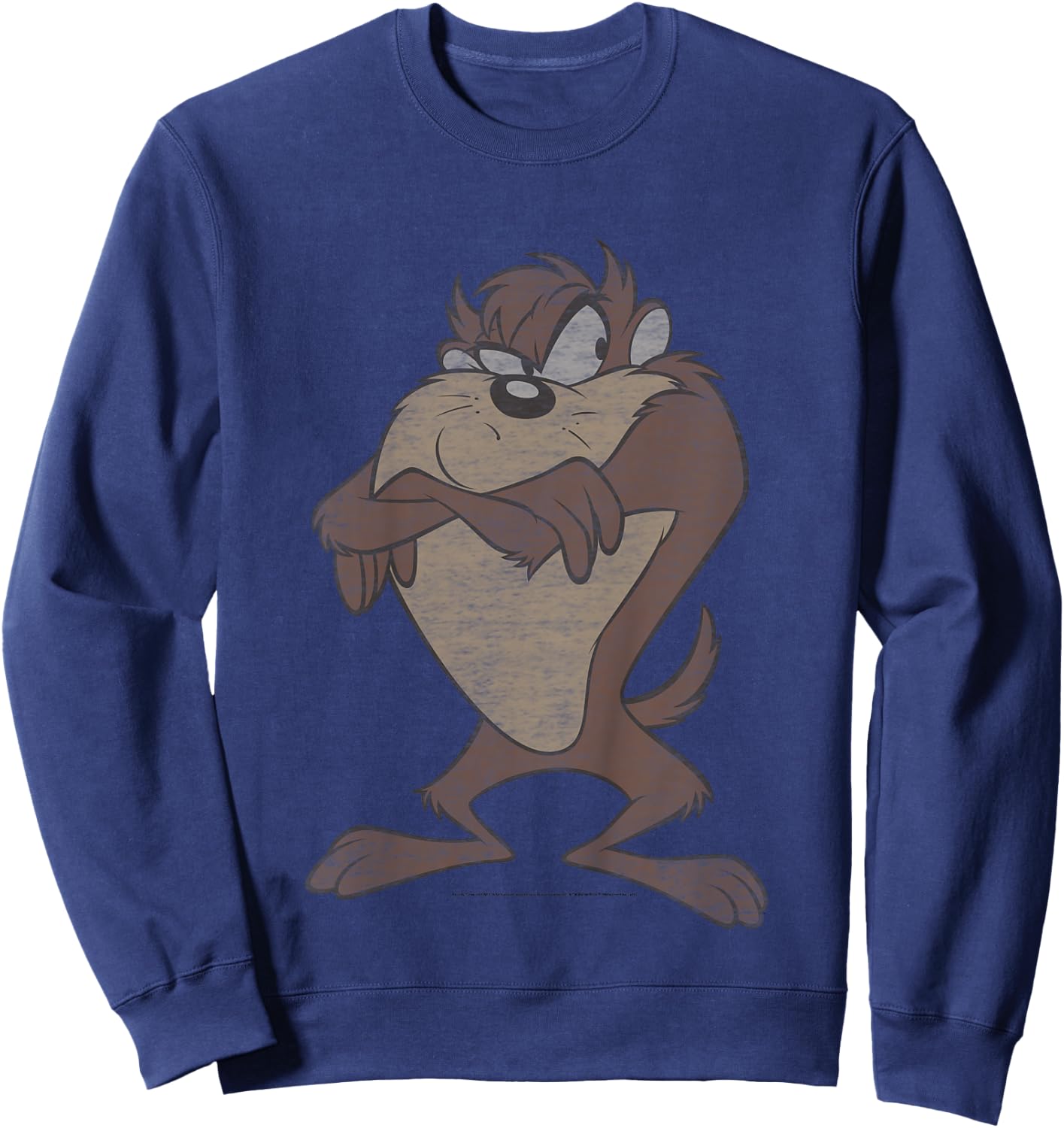 Kids Looney Tunes Tasmanian Devil Simple Portrait Sweatshirt - Sweatshirt | Navy