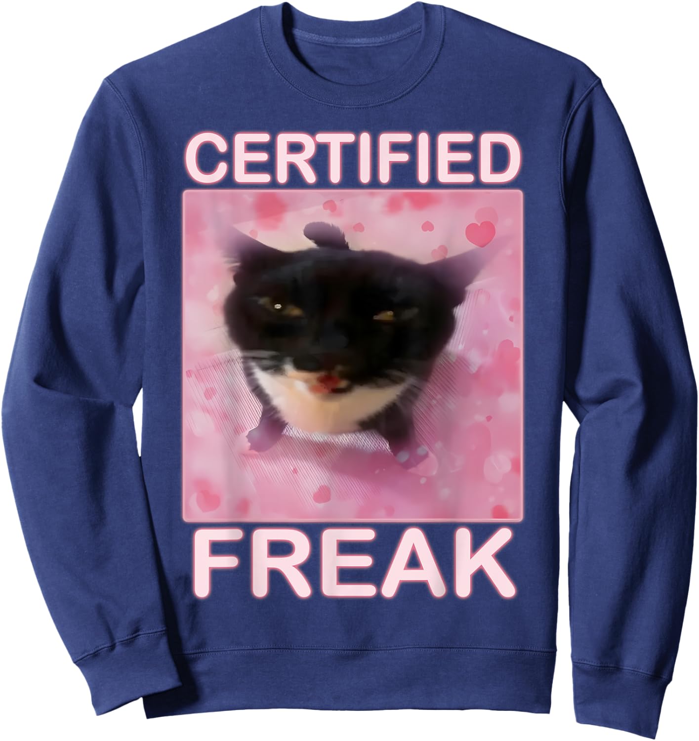 Cat Meme Certified Freak Eat Cement Cursed Cat Funny Sweatshirt - Sweatshirt | Navy