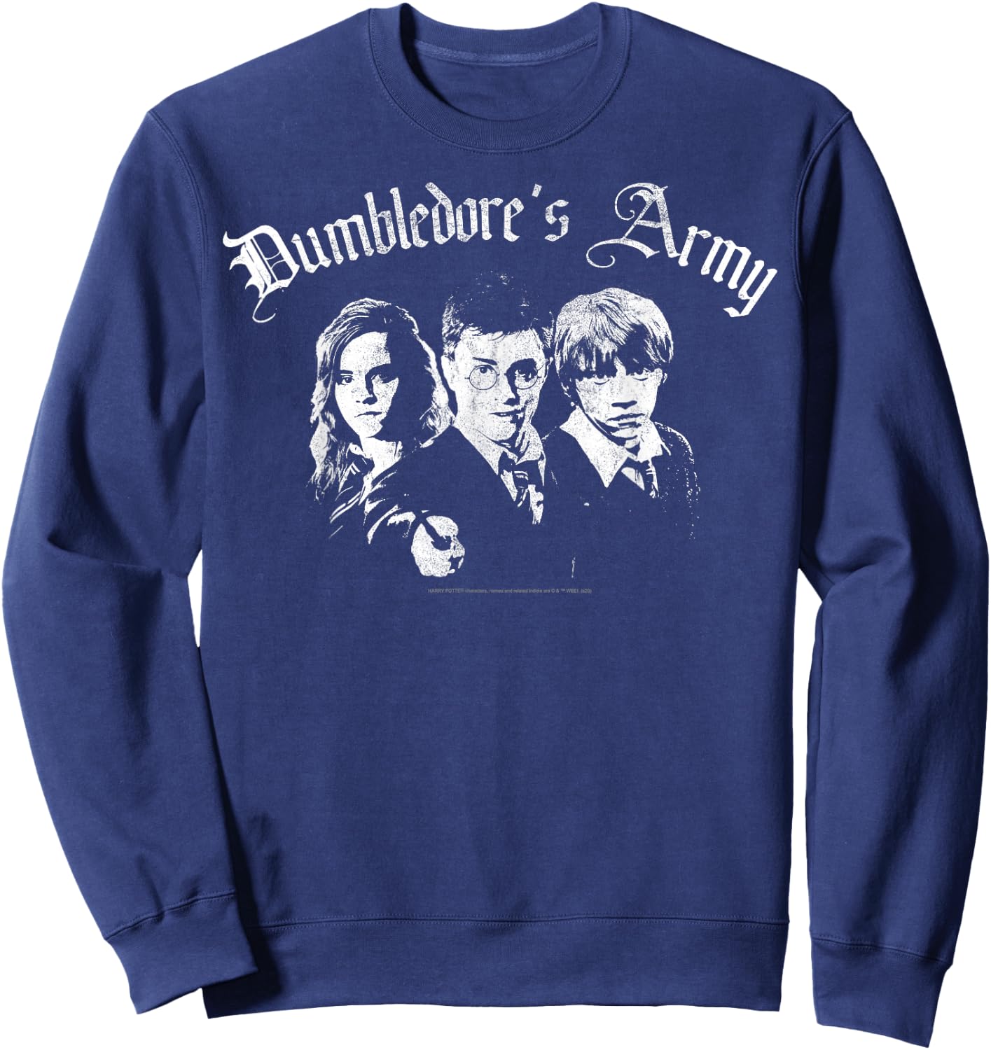 Harry Potter Dumbledore's Army Group Shot Sweatshirt - Sweatshirt | Navy