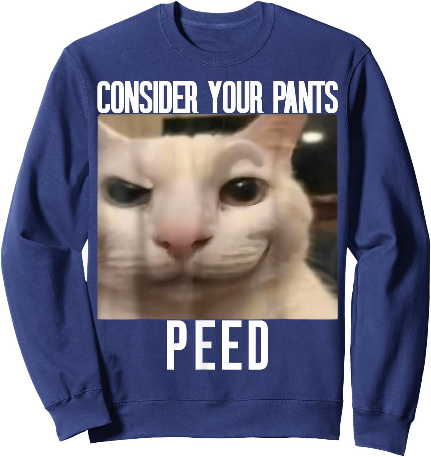 Consider Your Pants Peed Weird Cat Meme Funny Memes Brainrot Sweatshirt - Sweatshirt | Navy