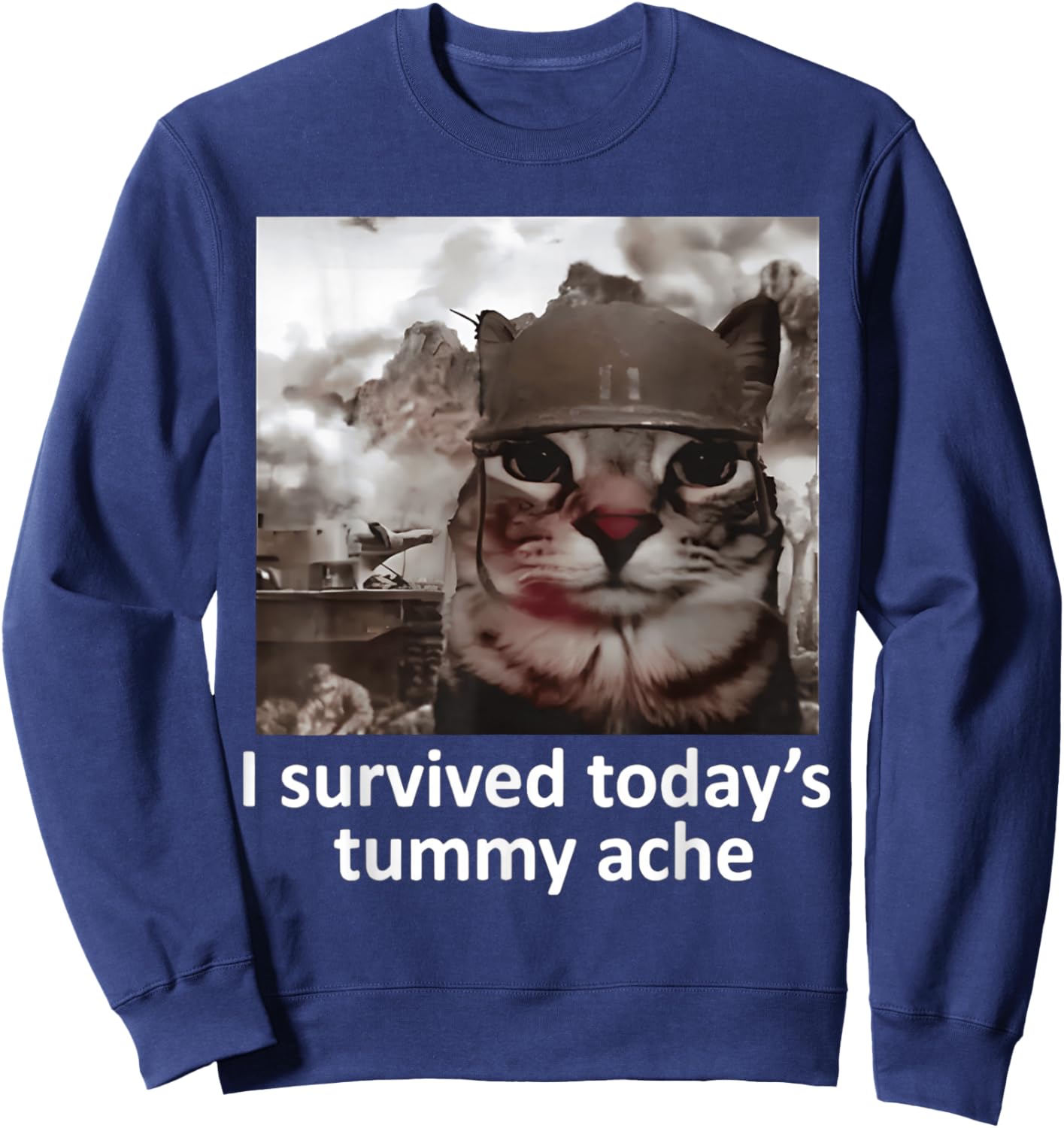 I Survived Today's Tummy Ache Sweatshirt - Sweatshirt | Navy